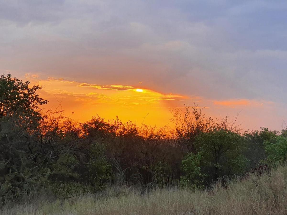 Masorini Bush Lodge & Safari Tents ファラボルワ エクステリア 写真