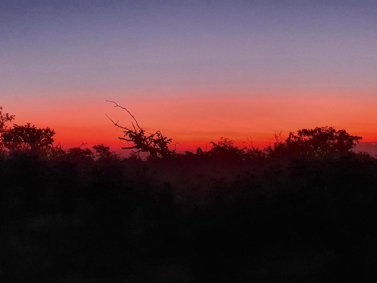 Masorini Bush Lodge & Safari Tents ファラボルワ エクステリア 写真