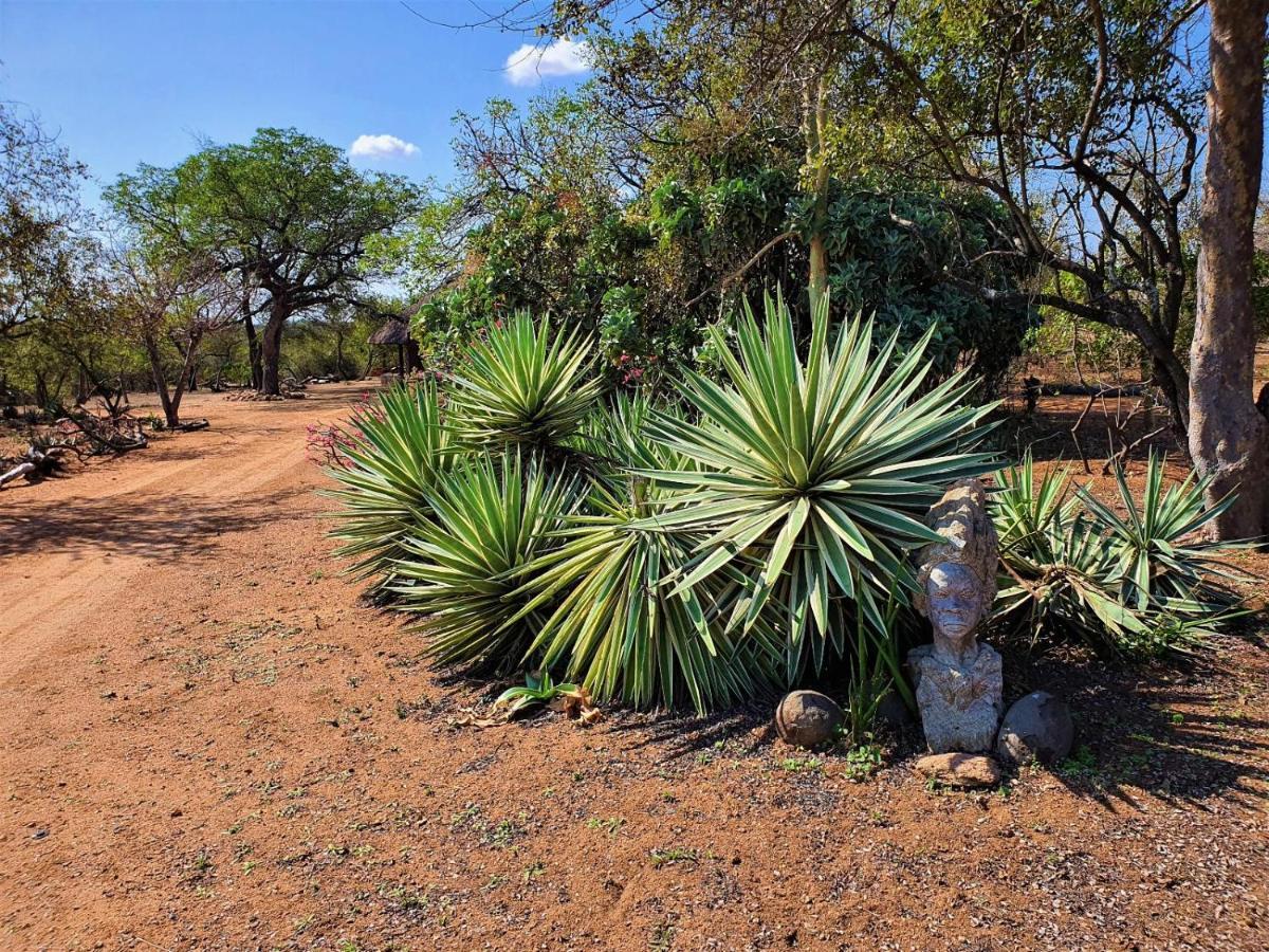 Masorini Bush Lodge & Safari Tents ファラボルワ エクステリア 写真