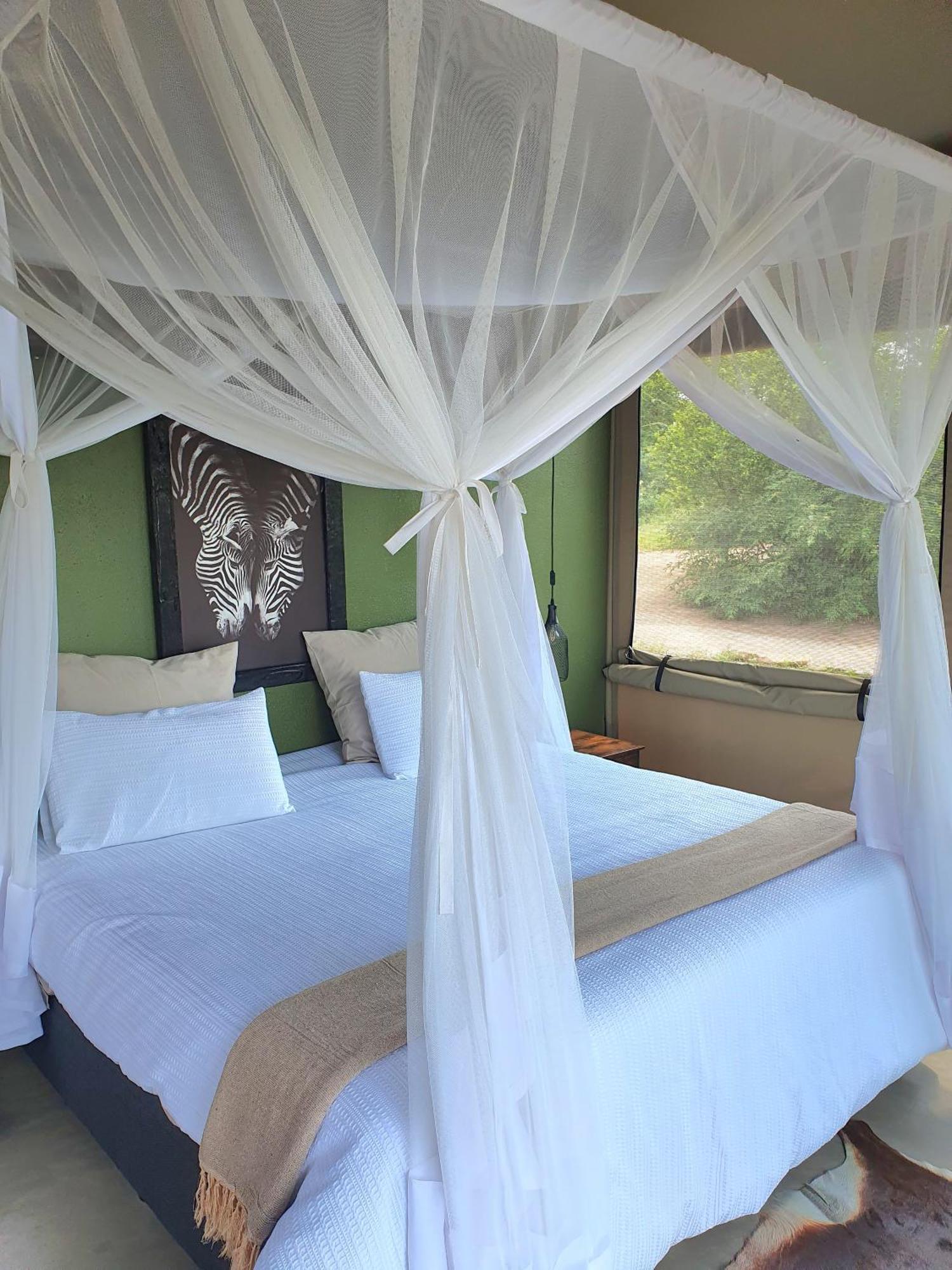 Masorini Bush Lodge & Safari Tents ファラボルワ エクステリア 写真