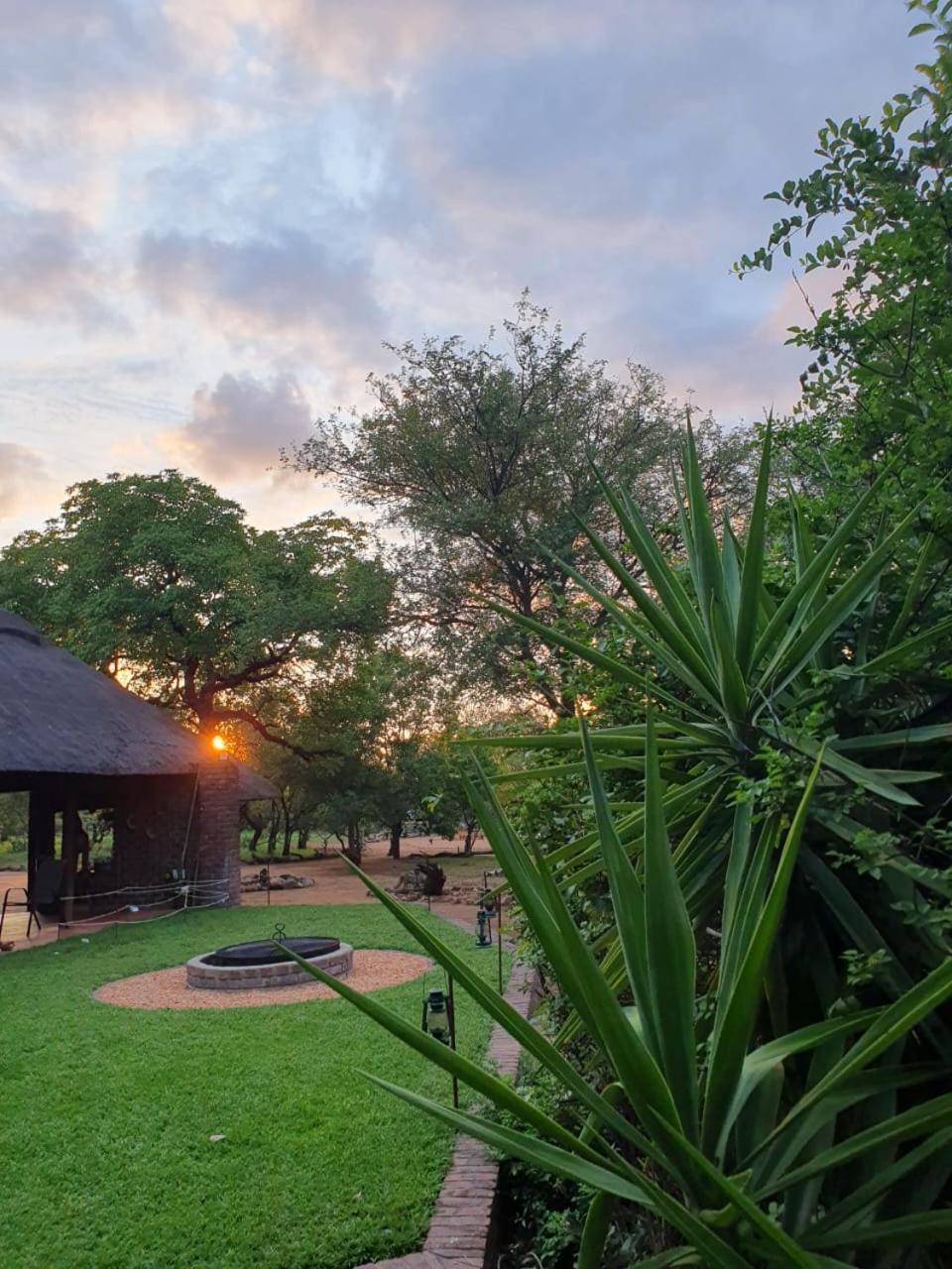 Masorini Bush Lodge & Safari Tents ファラボルワ エクステリア 写真