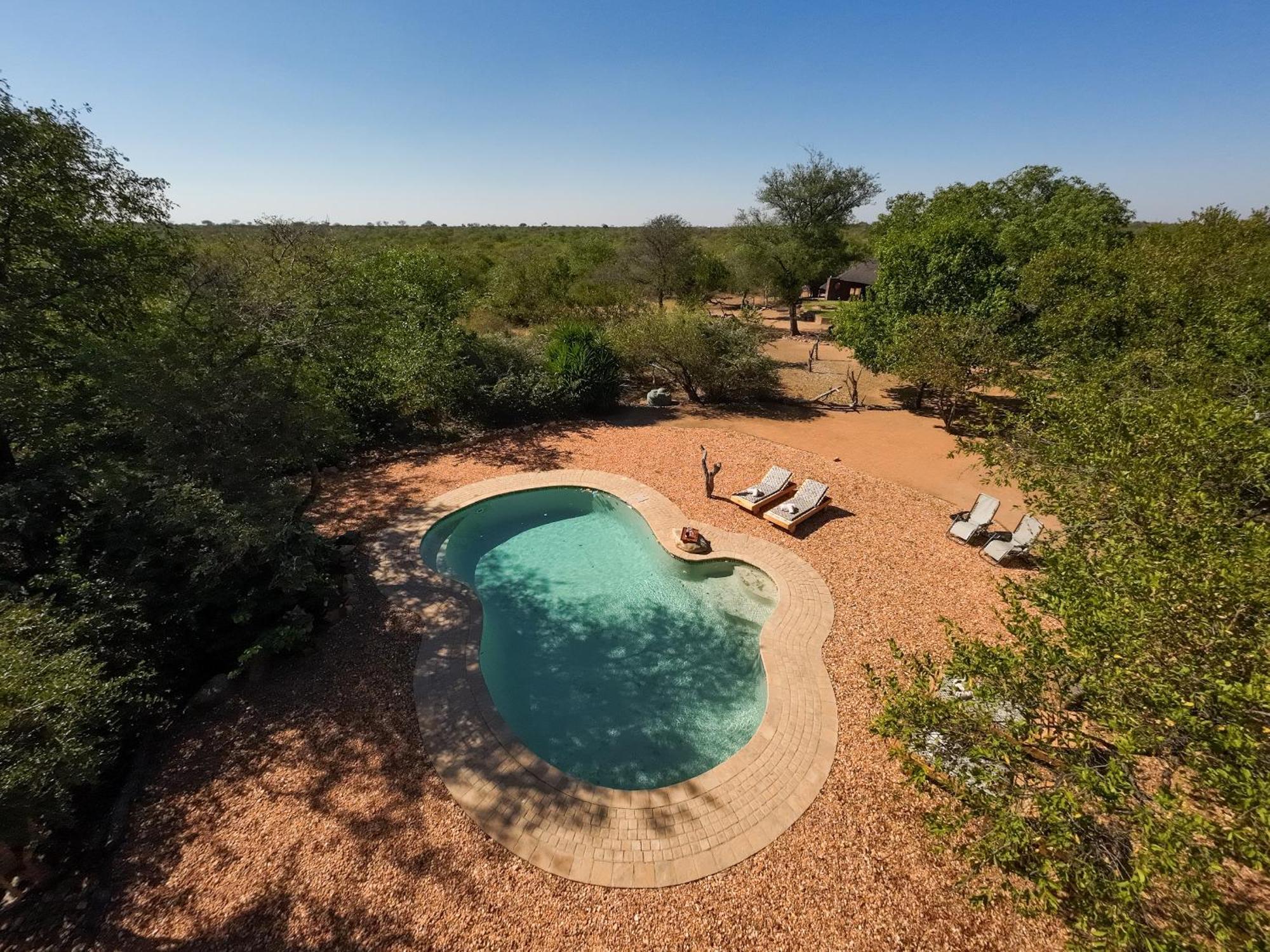 Masorini Bush Lodge & Safari Tents ファラボルワ エクステリア 写真