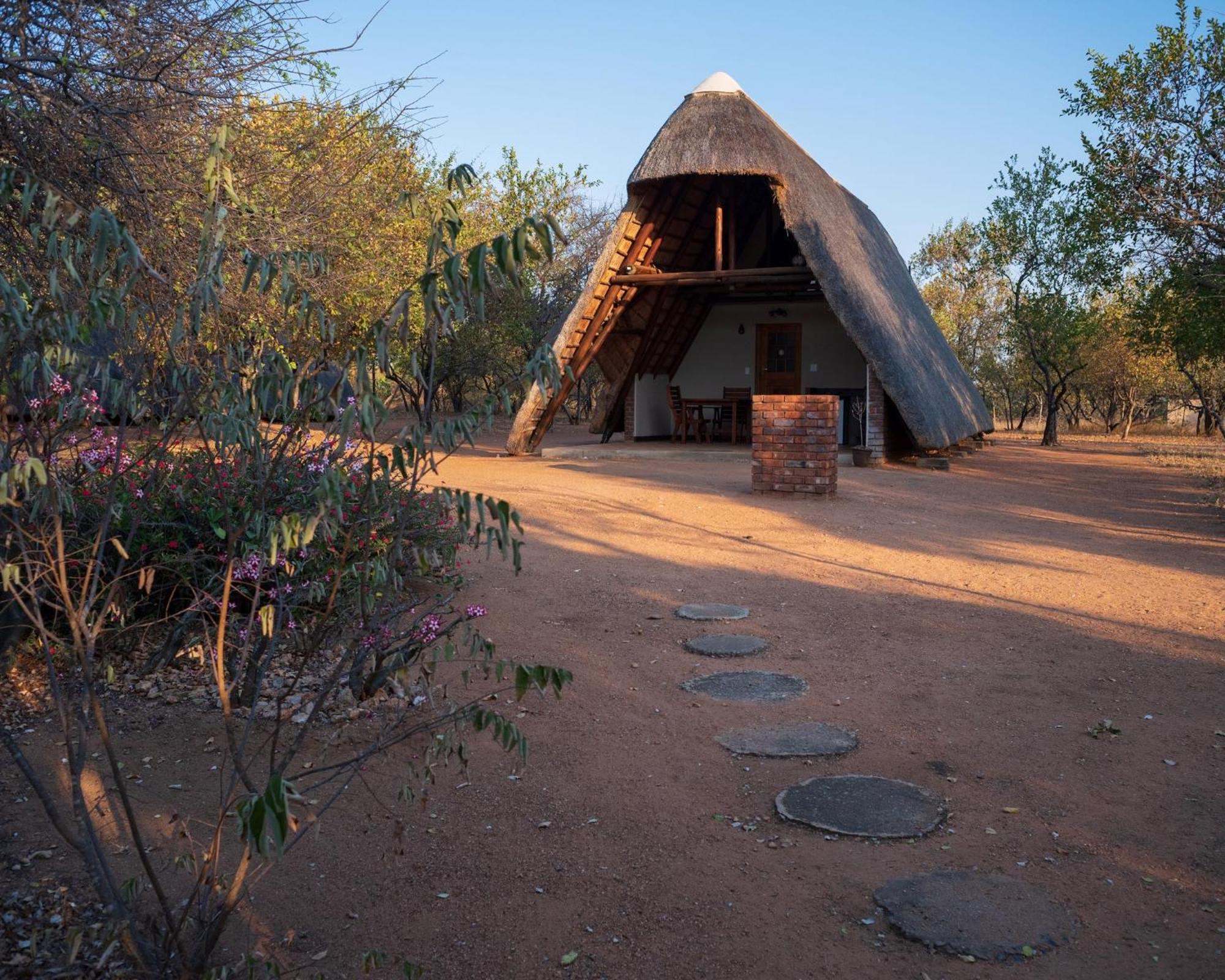 Masorini Bush Lodge & Safari Tents ファラボルワ エクステリア 写真